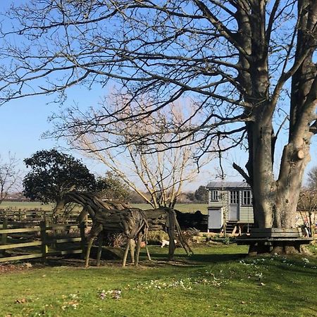 The Shepherd'S Hut @ Chichester Cottage Eksteriør bilde