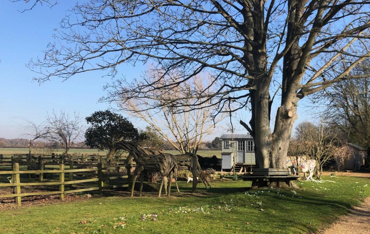 The Shepherd'S Hut @ Chichester Cottage Eksteriør bilde